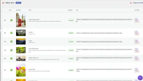 Schema Gallery item list showing complete schema status for each image