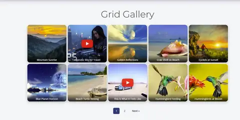 Schema Gallery grid layout mixing images and YouTube videos