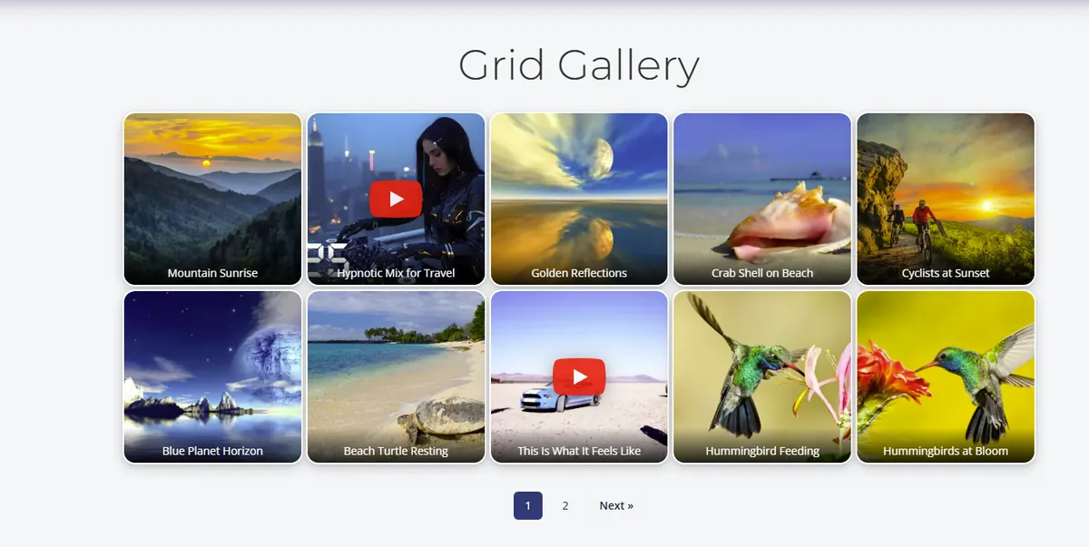 Schema Gallery grid layout mixing images and YouTube videos